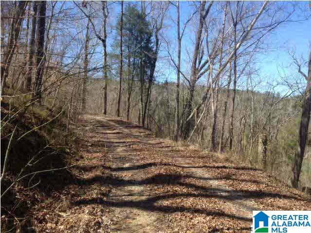 167 Big Shoals Road, Unit LOT 14 Adger, AL 35006 - Photo 11 of 12