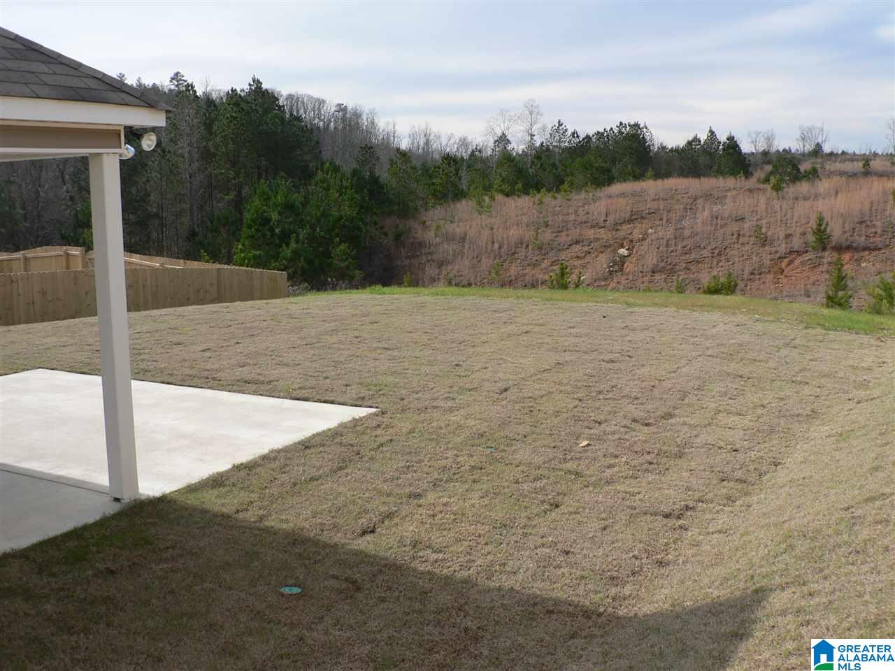 40 Blueberry Cove Springville, AL 35146 - Photo 17 of 19