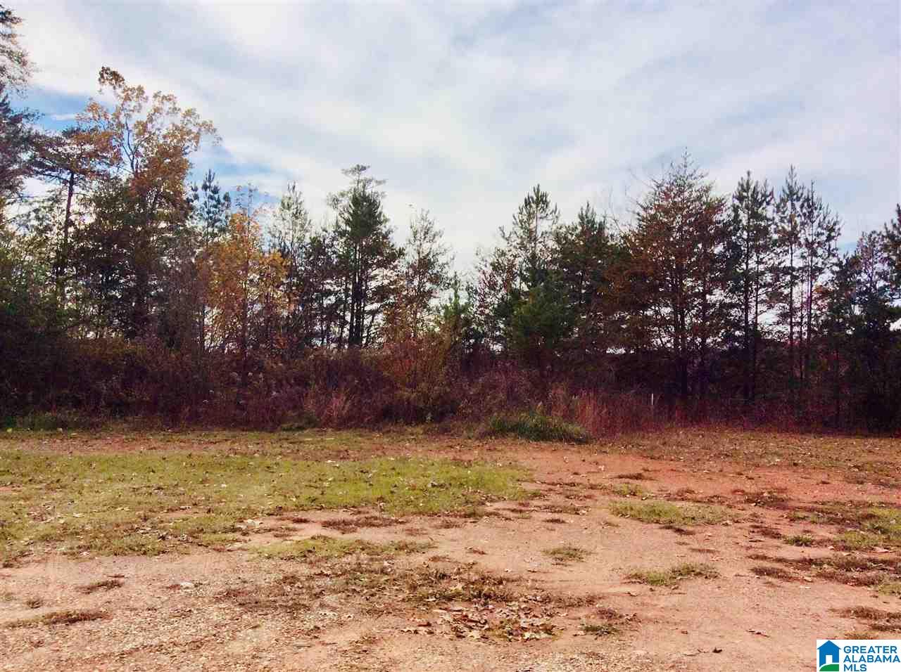 1-1 Acre Pleasure Point Road, Unit 3 Wedowee, AL 36278 - Photo 2 of 5