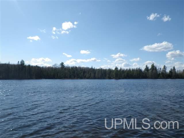 Tbd Grant Lake Road, Unit PARCEL 4 Republic, MI 49879 - Photo 5 of 8