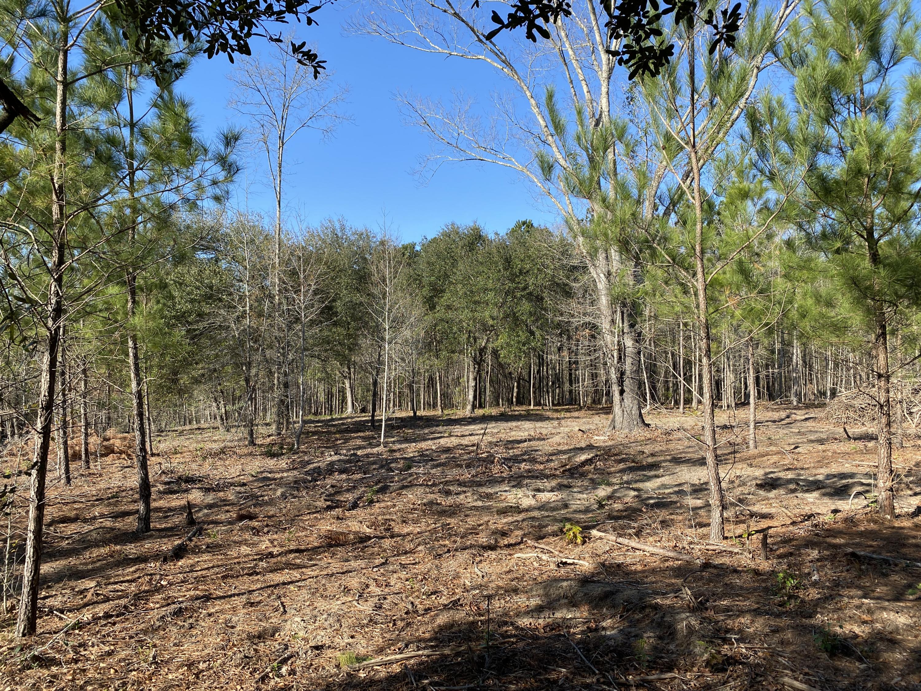 0 Power House Road, Unit LOT 7 Moncks Corner, SC 29461 - Photo 2 of 16 Photo - 2