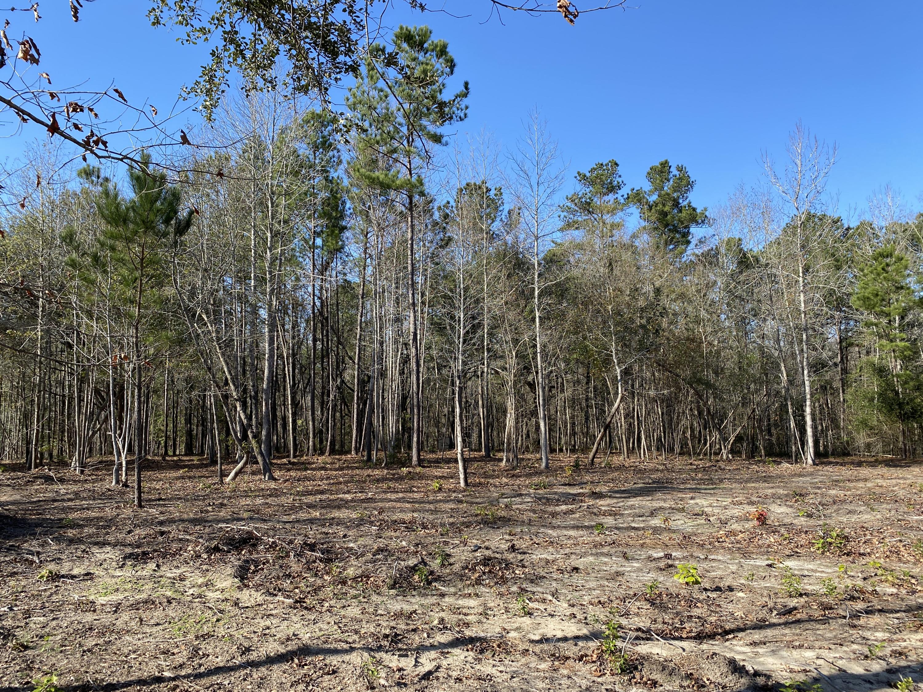 0 Power House Road, Unit LOT 7 Moncks Corner, SC 29461 - Photo 4 of 16 Photo - 4