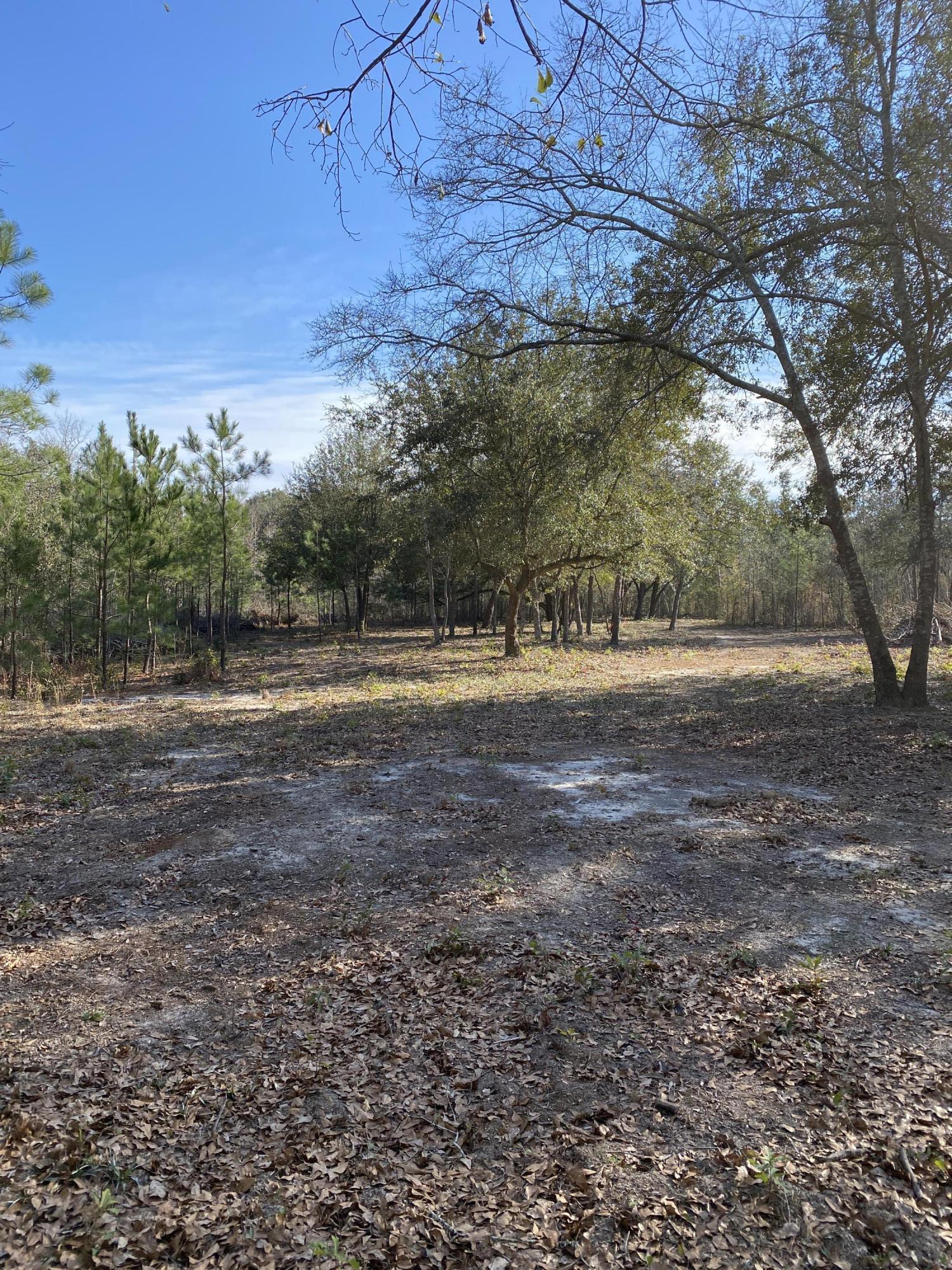 0 Power House Road, Unit LOT 7 Moncks Corner, SC 29461 - Photo 5 of 16 Photo - 5