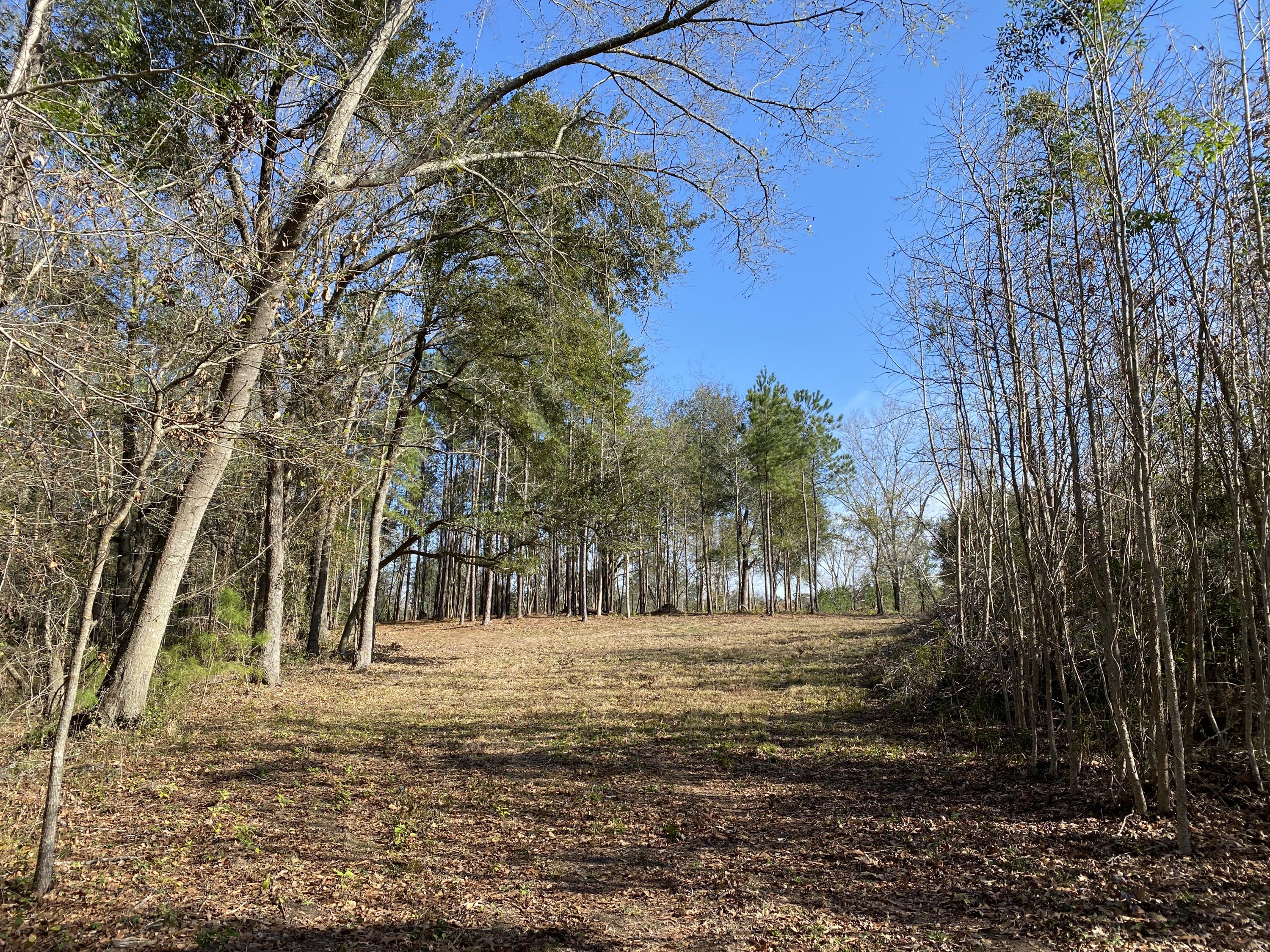 0 Power House Road, Unit LOT 7 Moncks Corner, SC 29461 - Photo 8 of 16 Photo - 8