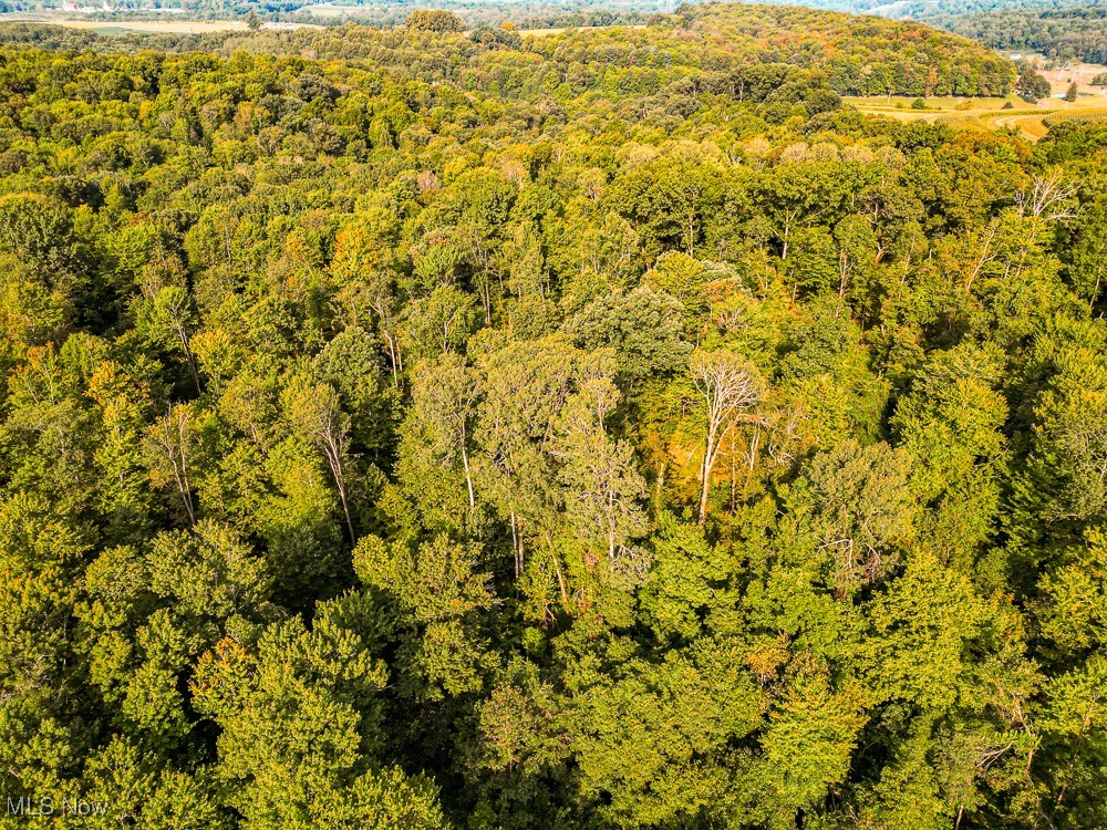 Reef Road Northeast Kensington, OH 44427 - Photo 27 of 27 Drone / aerial view