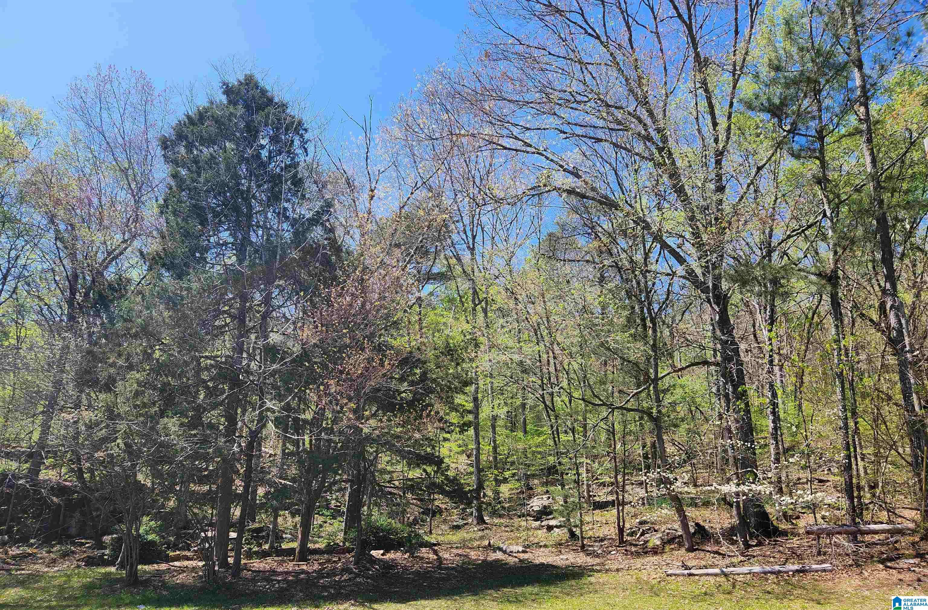 1453 Crawford Cove Road Springville, AL 35146 - Photo 48 of 51