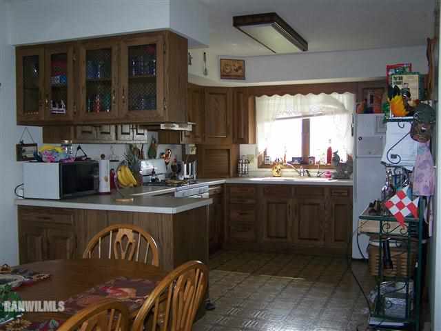 8504 Vanbuskirk Road Mount Carroll, IL 61053 - Photo 2 of 9 a kitchen with a sink cabinets and window