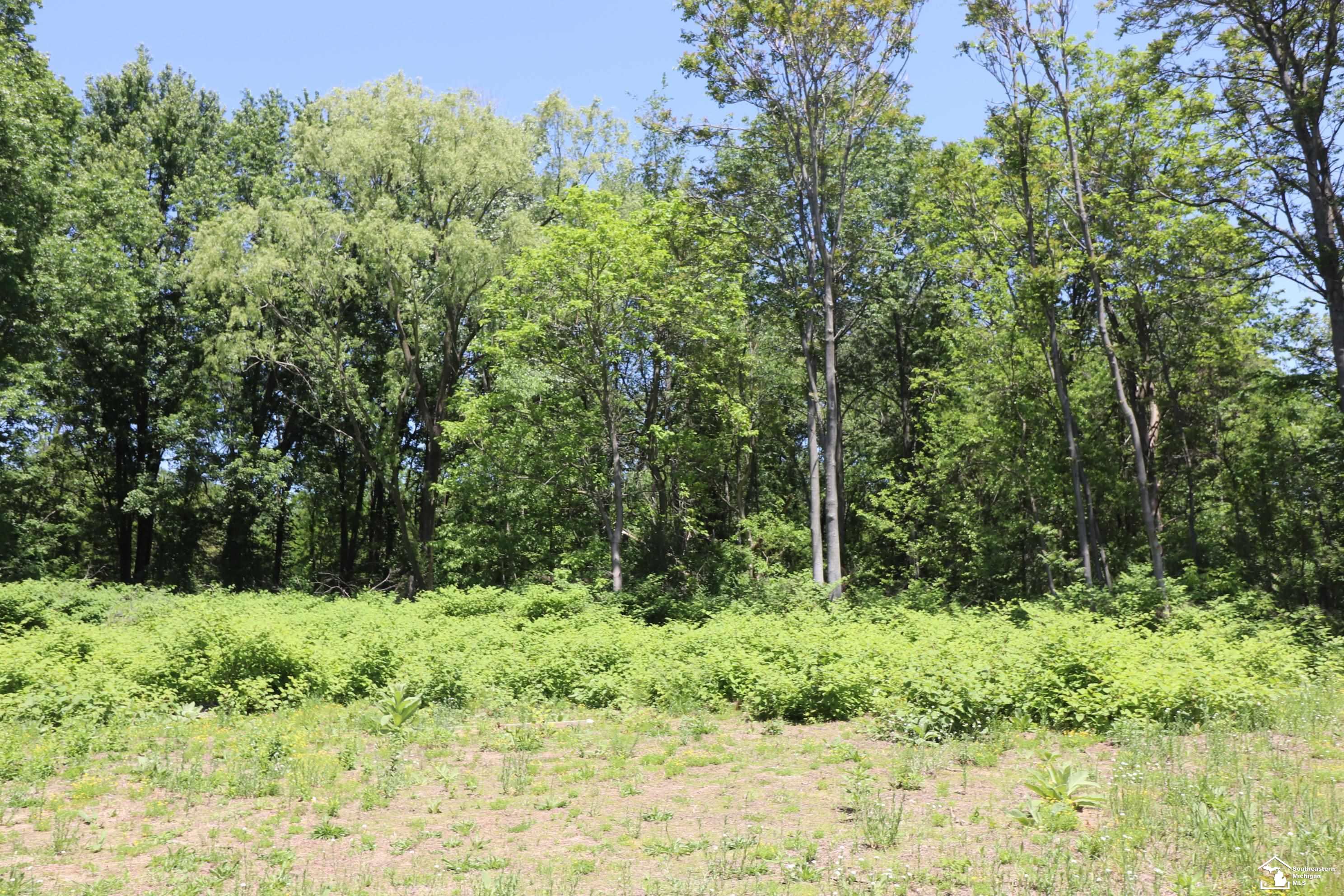 2630 West Temperance Road Temperance, MI 48182 - Photo 7 of 12