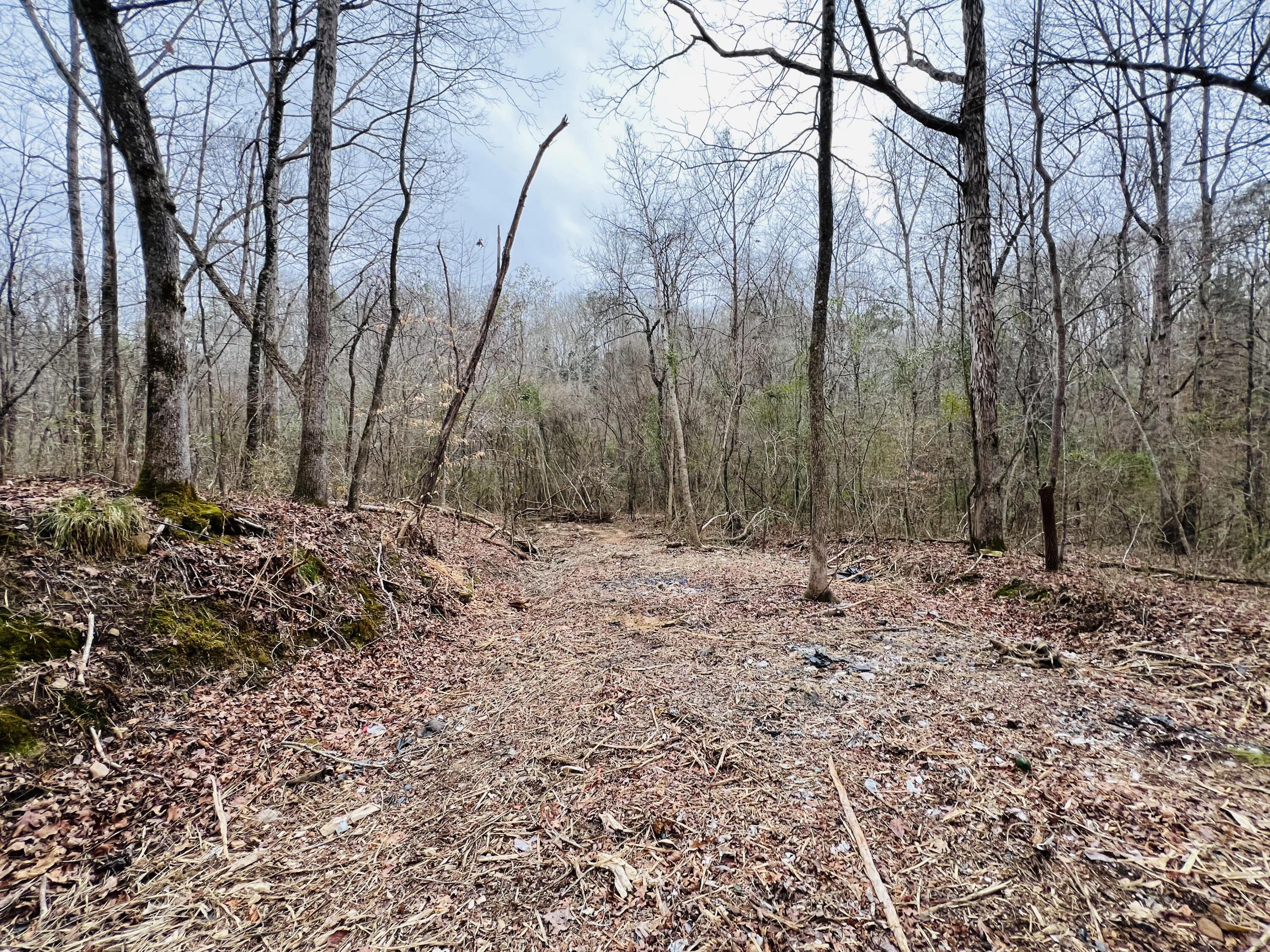 39 Co Road Addison, AL 35540 - Photo 17 of 32 Gallery Image 17