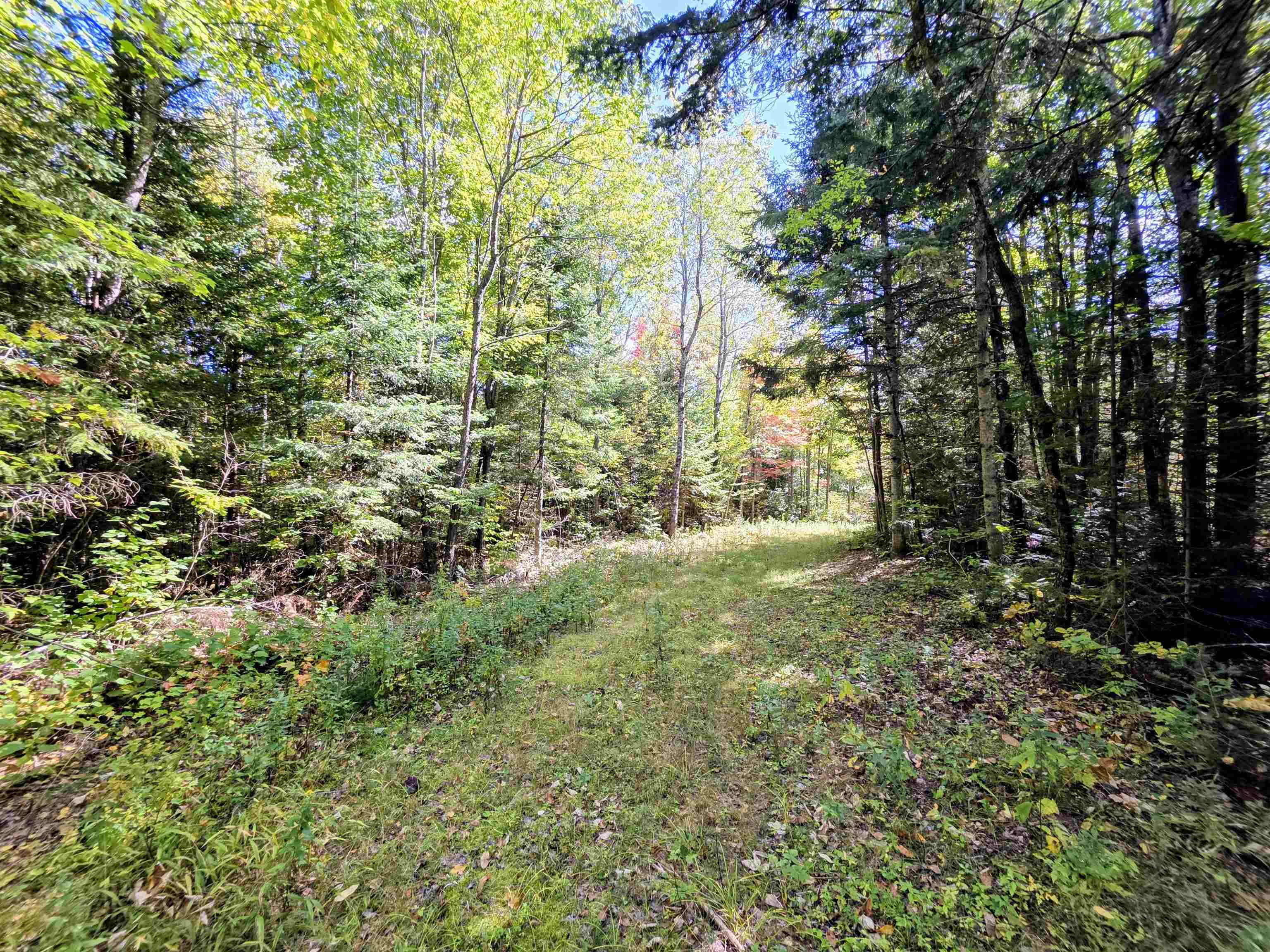 255 Gray Road Columbia, NH 03576 - Photo 51 of 52 Gallery Image 51