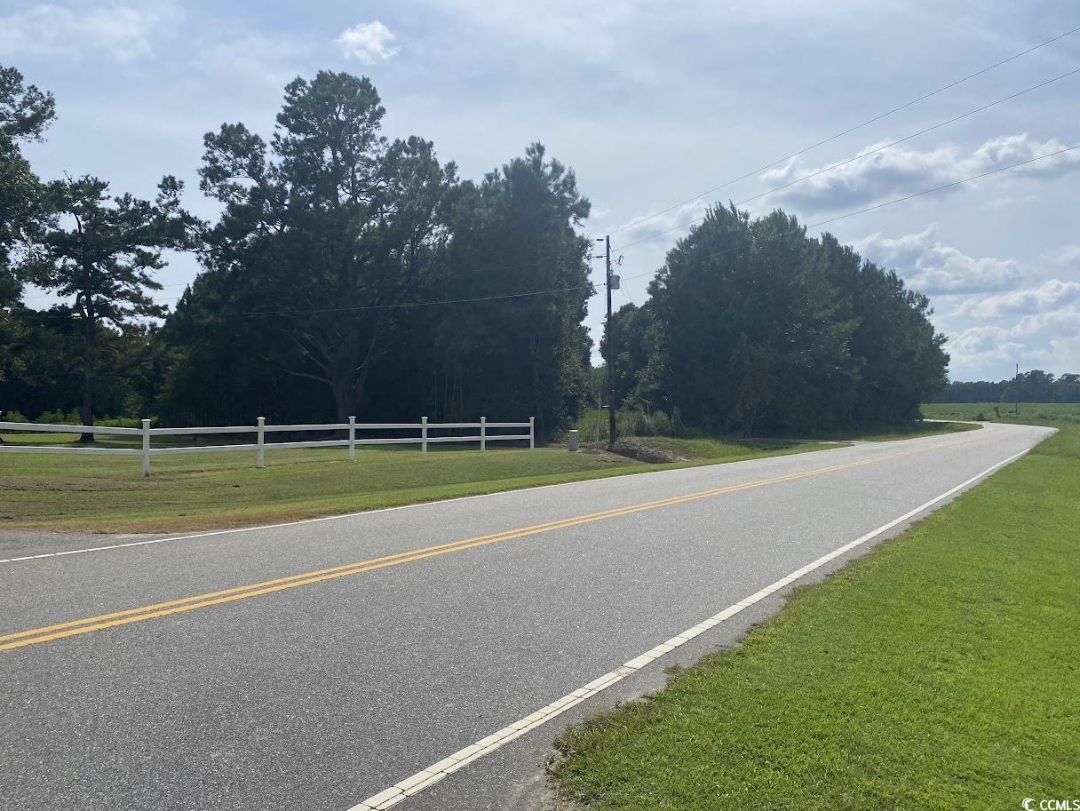 Tbd Long Branch Swamp Road Green Sea, SC 29545 - Photo 2 of 2 View of asphalt road