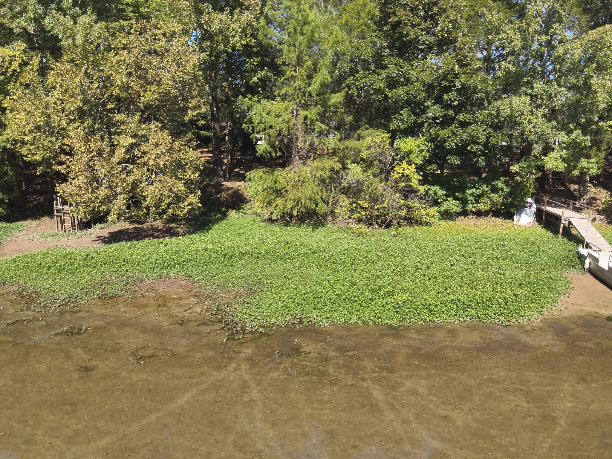 25 Marble Lane Linden, TN 37096 - Photo 38 of 49 a view of a field with plants and trees