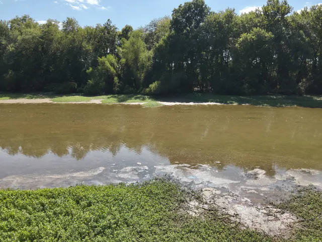 a view of a lake with a yard