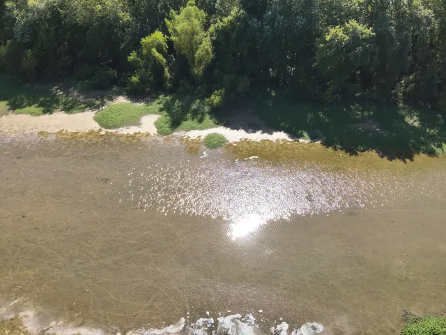 a view of a yard with a lake view