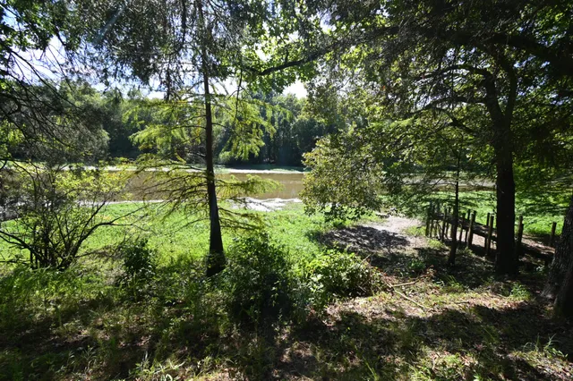 a backyard of a building with lots of trees
