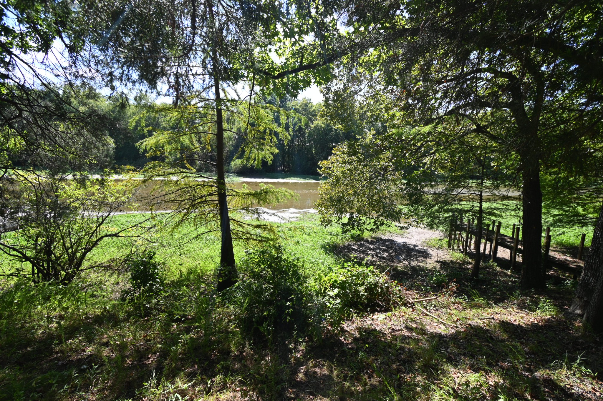25 Marble Lane Linden, TN 37096 - Photo 44 of 49 a backyard of a building with lots of trees