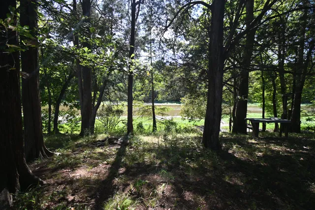 a view of outdoor space and trees