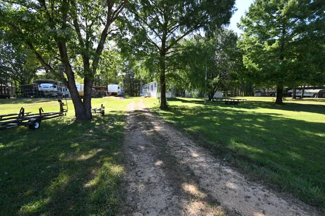 a view of a park with large trees