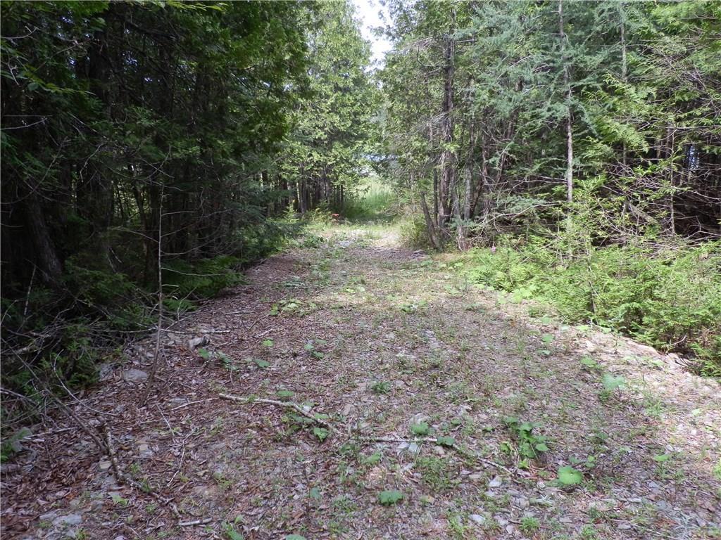 Lot 14 Pullen Road Garland, ME 04939 - Photo 15 of 20 ROW access path to pond