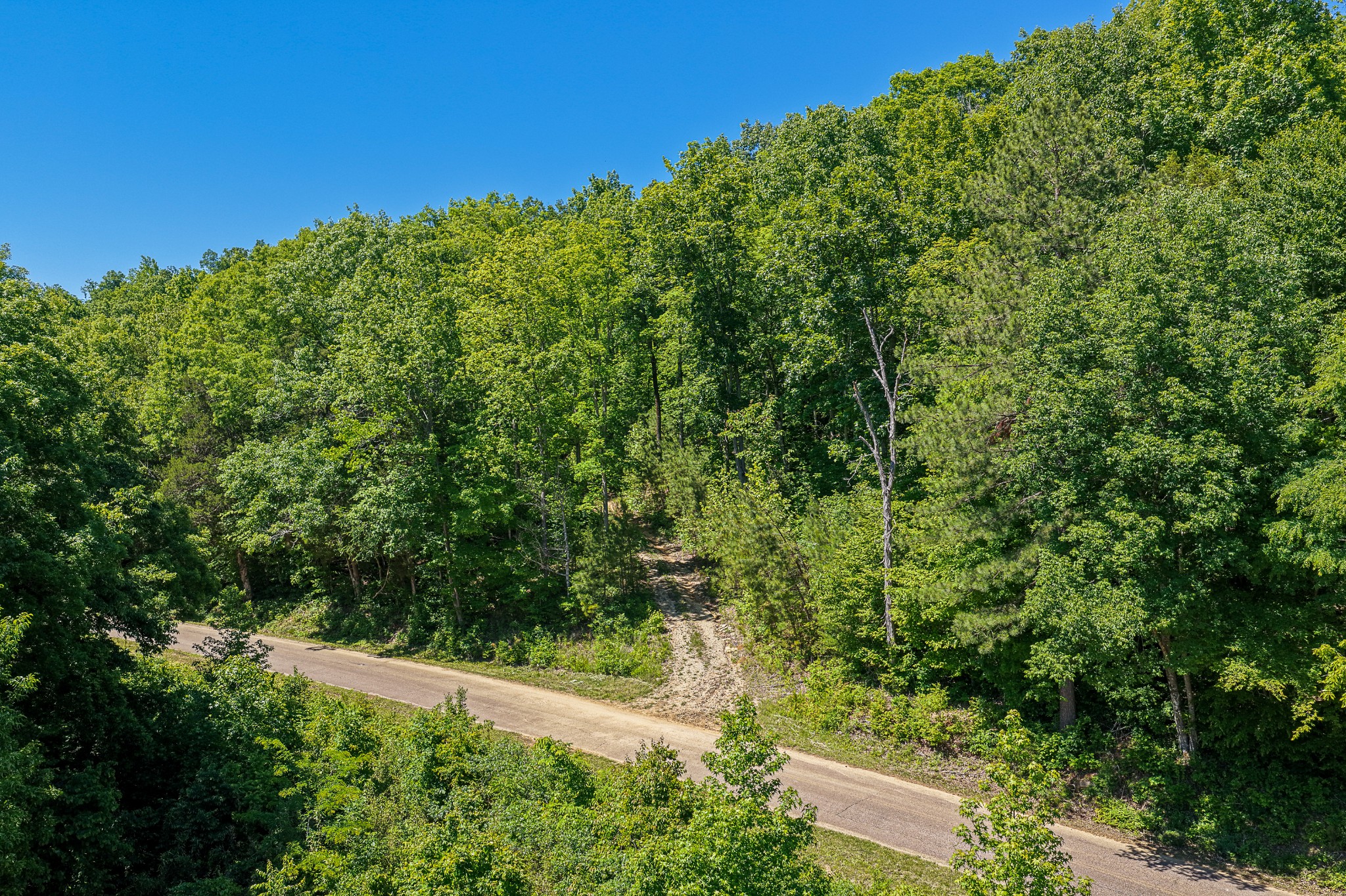 0 Mayberry Prong Road Linden, TN 37096 - Photo 2 of 24
