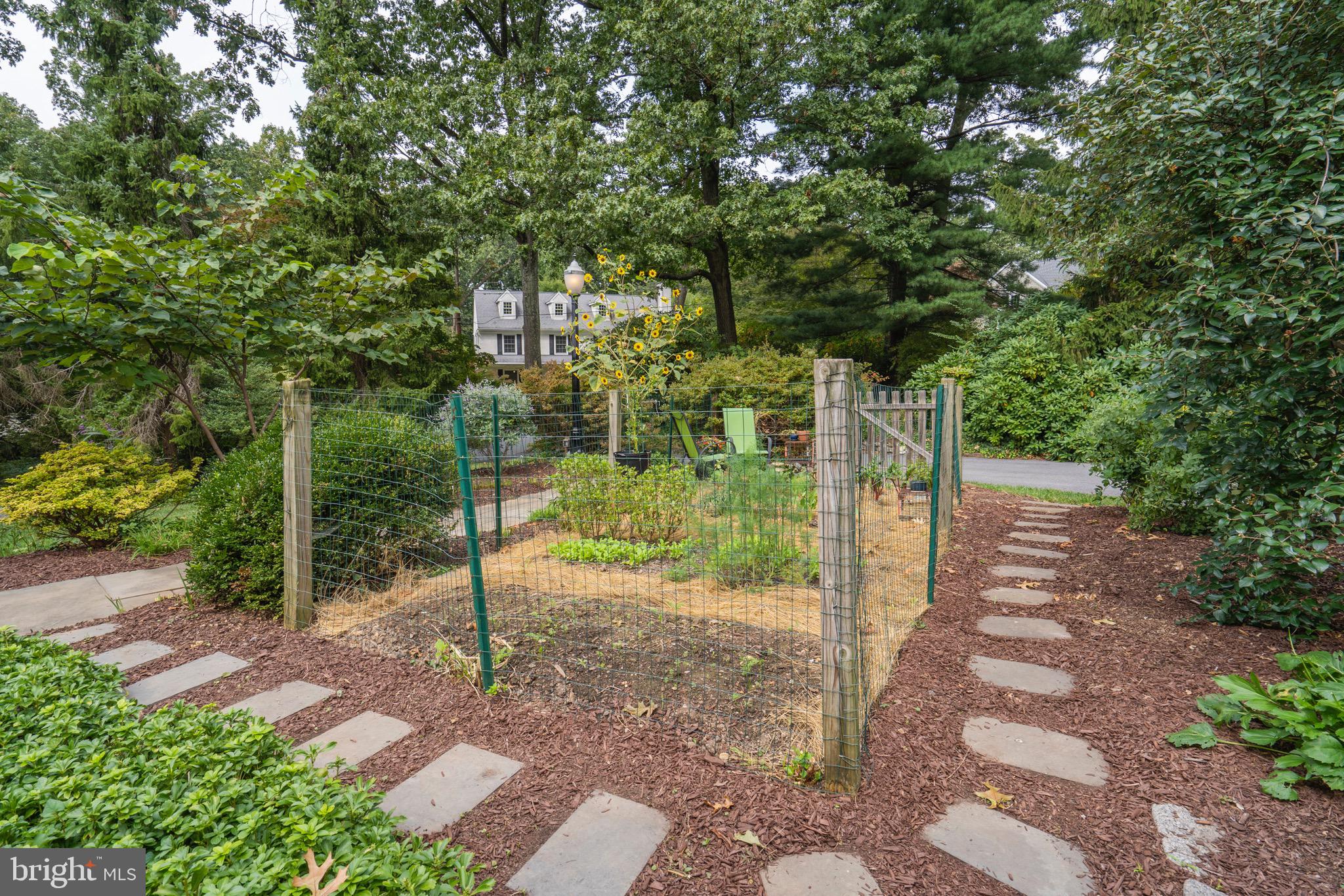 651 Knox Road Wayne, PA 19087 - Photo 41 of 59 Organic garden