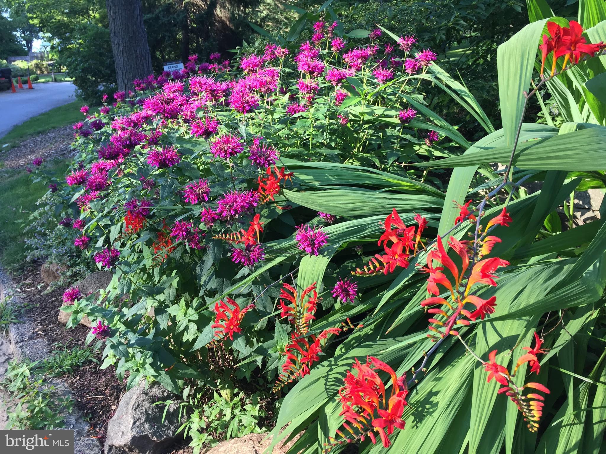651 Knox Road Wayne, PA 19087 - Photo 54 of 59 Enjoy blooms throughout the seasons