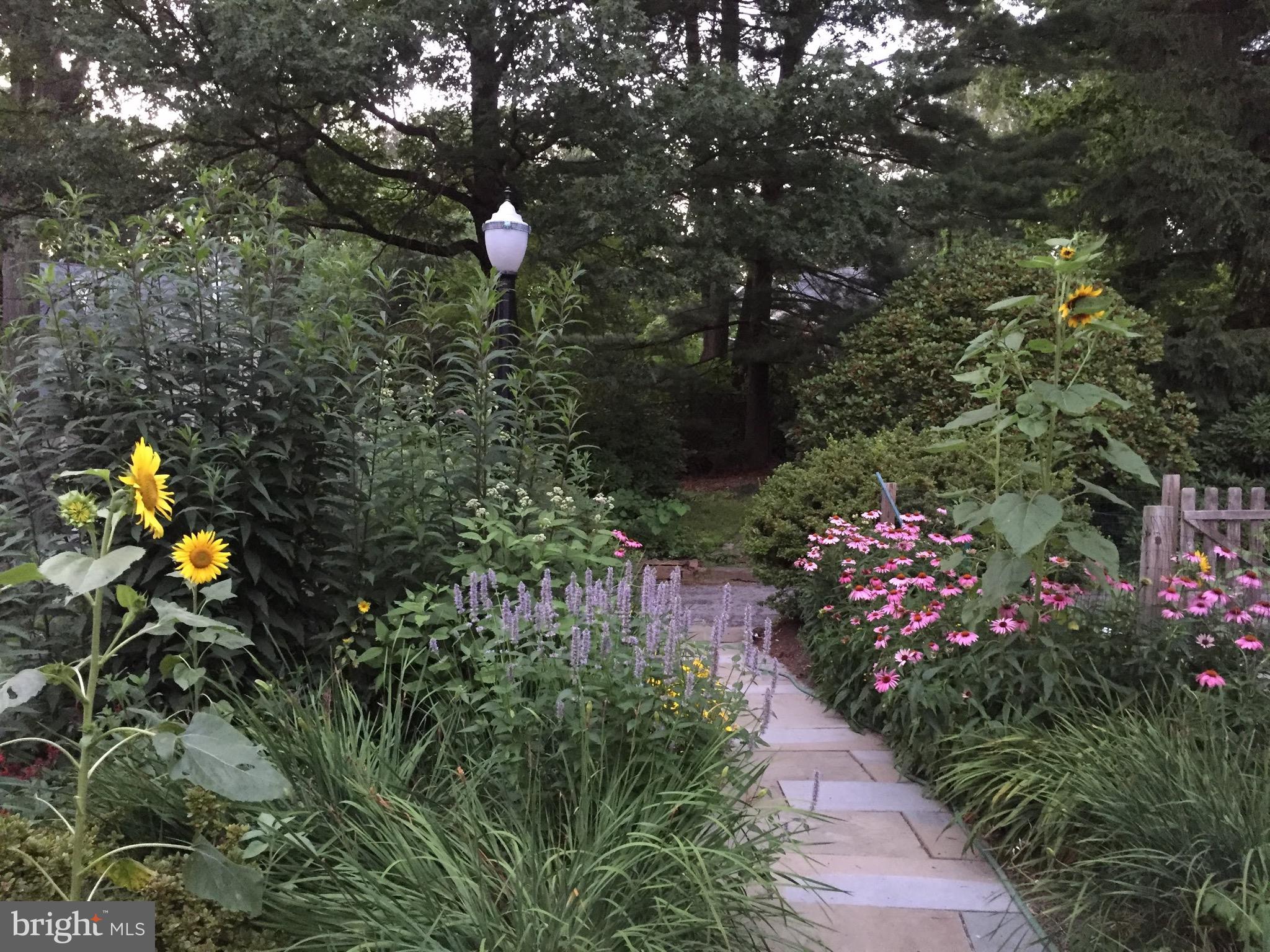 651 Knox Road Wayne, PA 19087 - Photo 55 of 59 Pathway blooms