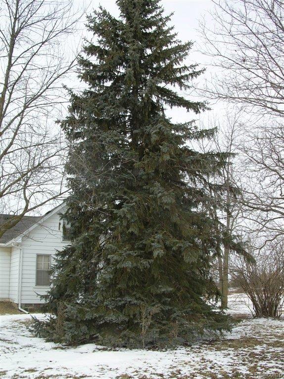 14795 Imlay City Road Capac, MI 48014 - Photo 2 of 8 Side Yard