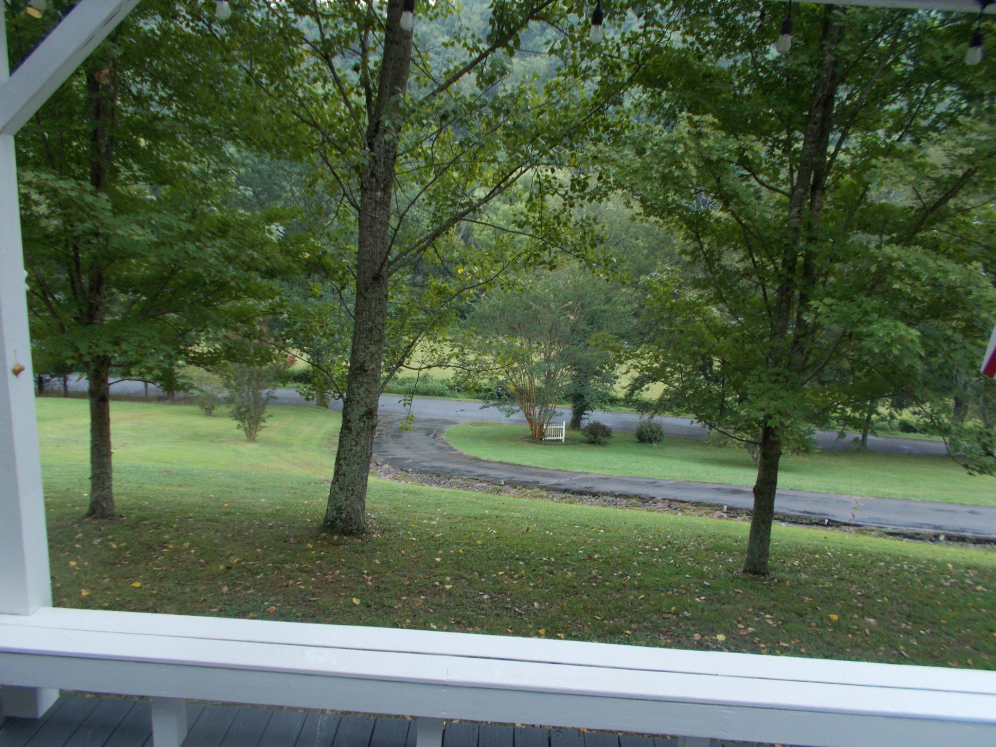 1931 Terrapin Branch Road Mount Pleasant, TN 38474 - Photo 7 of 40 Gallery Image 7