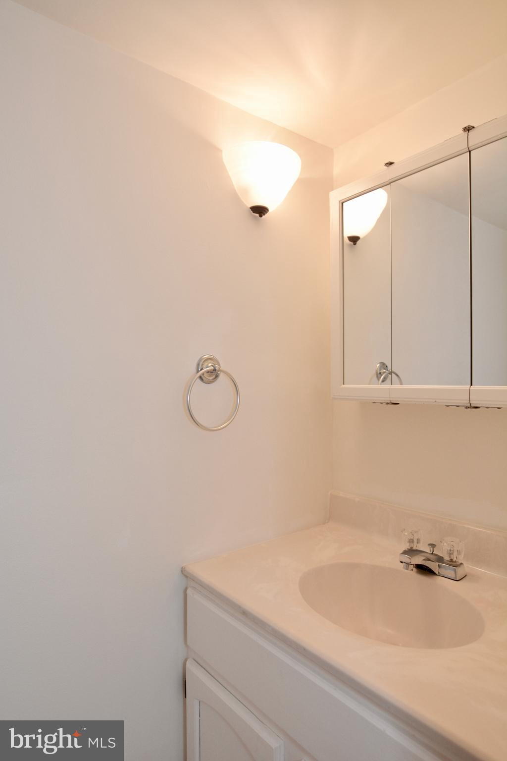 8335 Moline Place Springfield, VA 22153 - Photo 19 of 33 Lower Level Bath