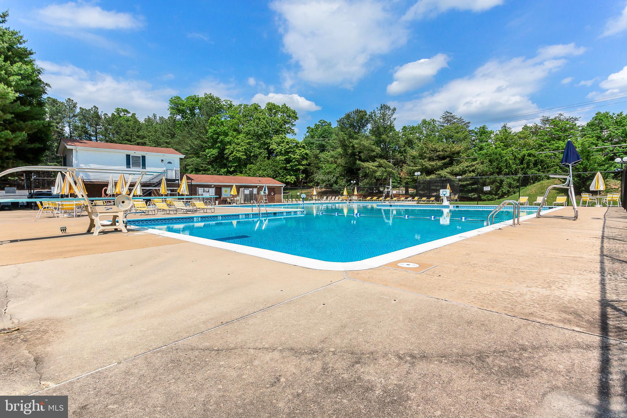 8335 Moline Place Springfield, VA 22153 - Photo 24 of 33 Neighborhood Pool