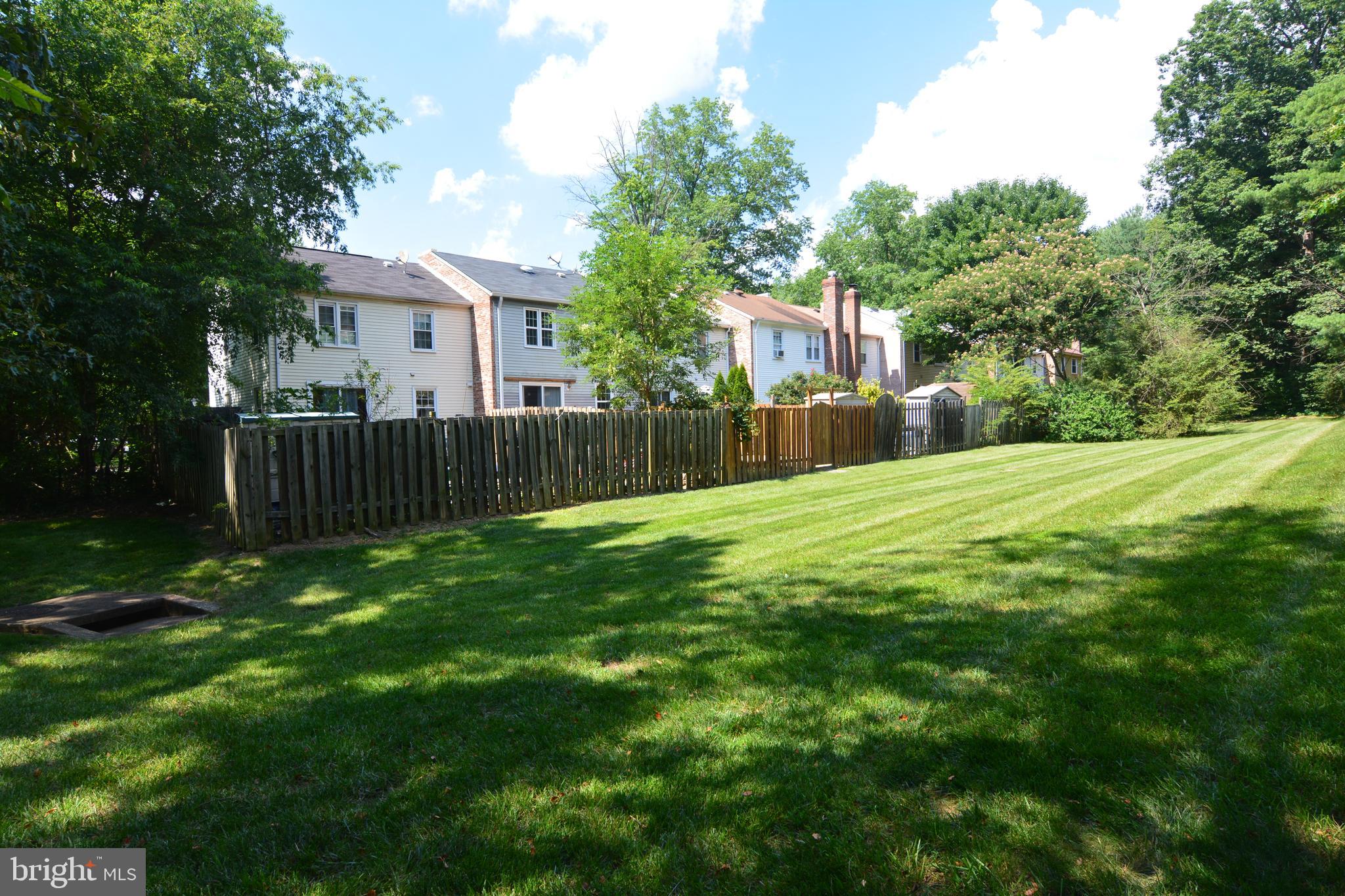 8335 Moline Place Springfield, VA 22153 - Photo 28 of 33 Grassy area behind house