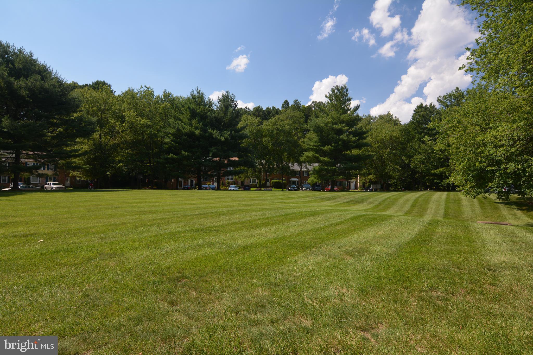 8335 Moline Place Springfield, VA 22153 - Photo 33 of 33 Grassy area in front of house (common area)