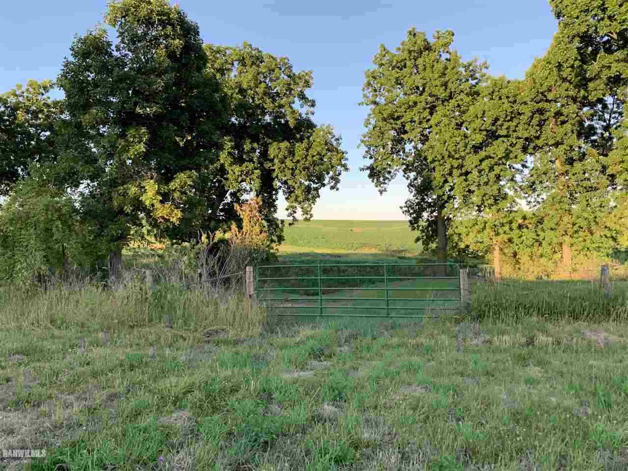 Tbd Quarry Road Mt Carroll, IL 61053 - Photo 8 of 10 a view of a garden