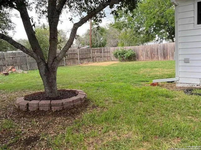 a view of a garden with a tree