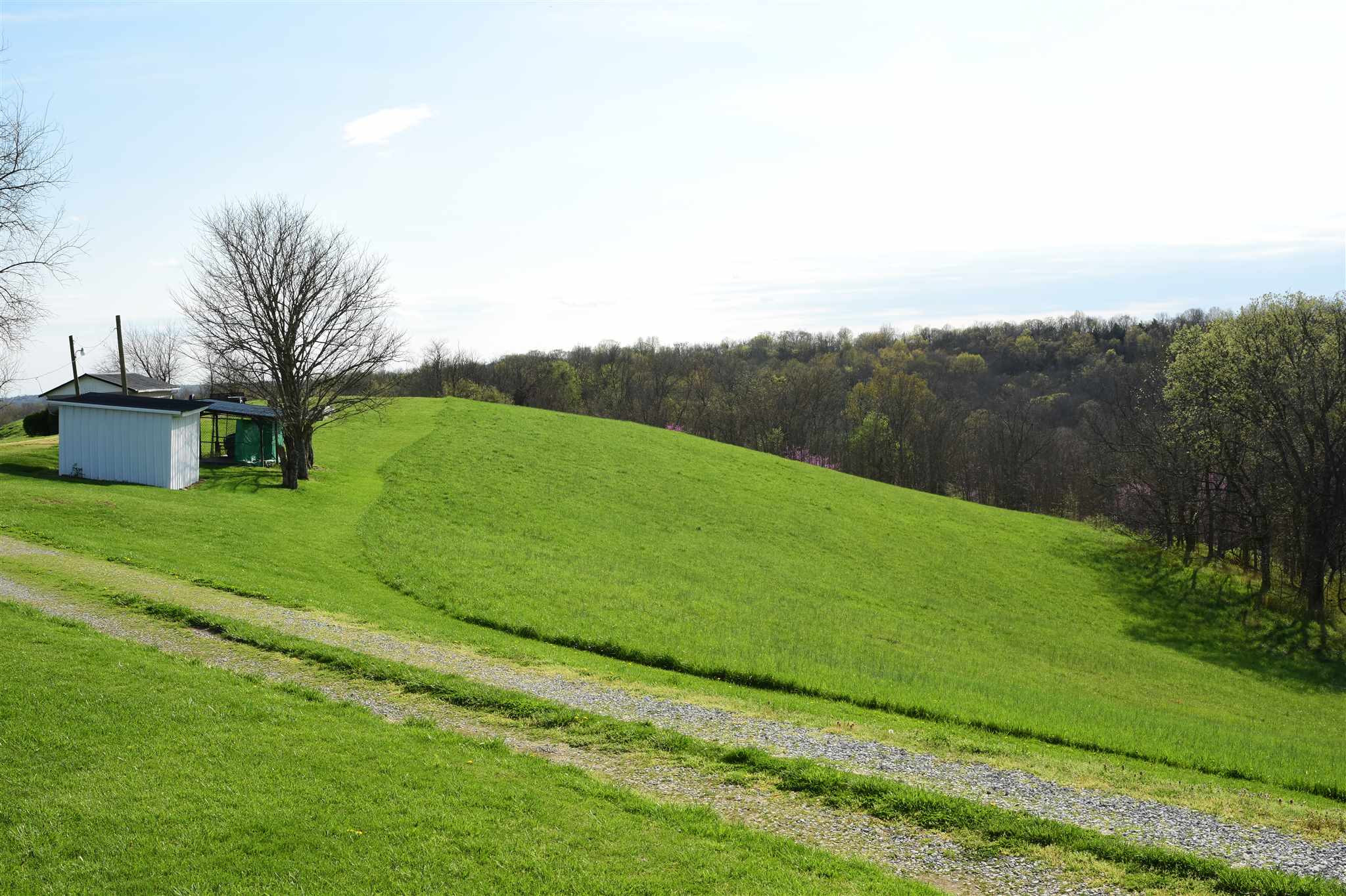654 Belmont Road Brooksville, KY 41004 - Photo 9 of 50 Gallery Image 9
