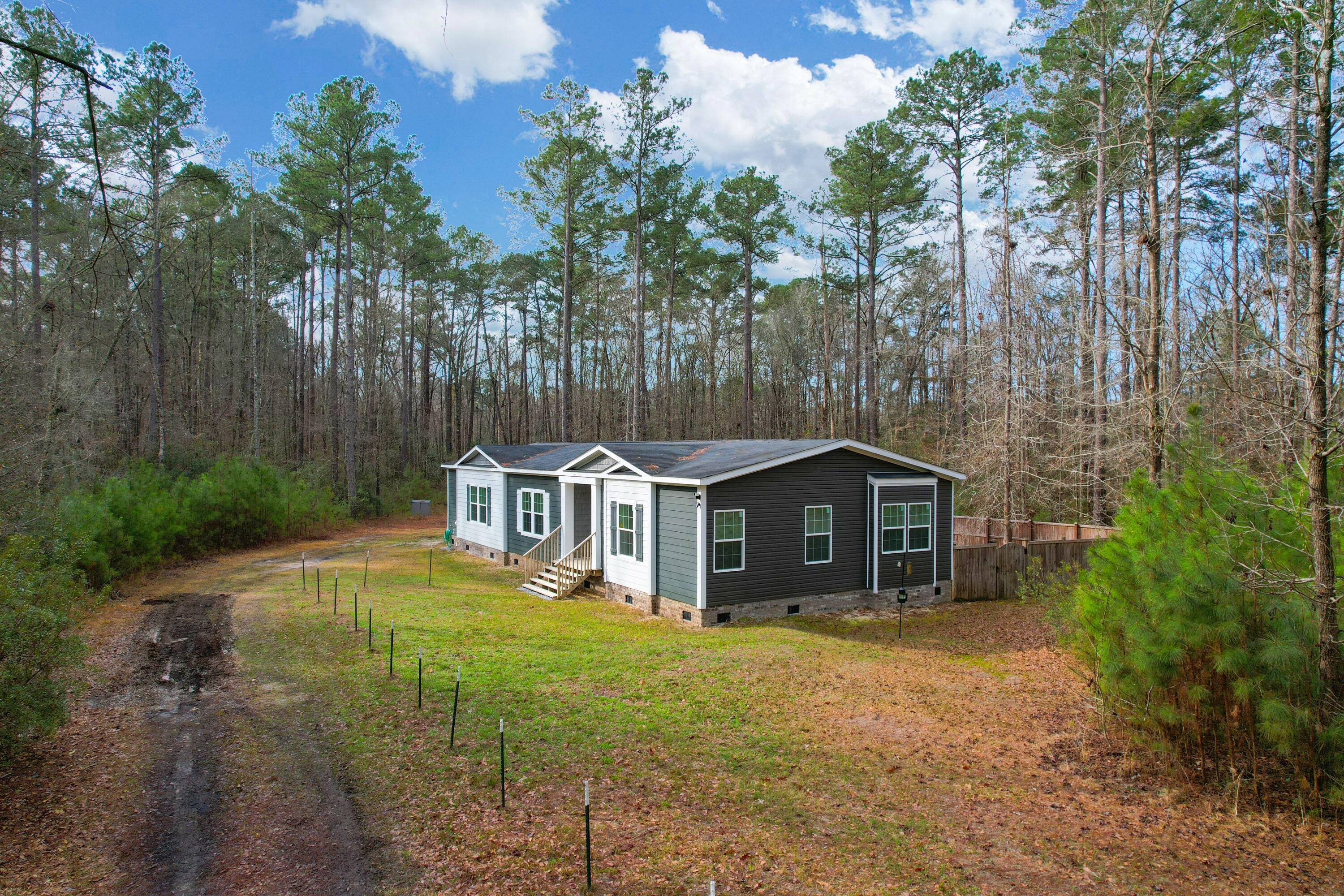 35 Dalmation -Tidalcreekphoto- (1)