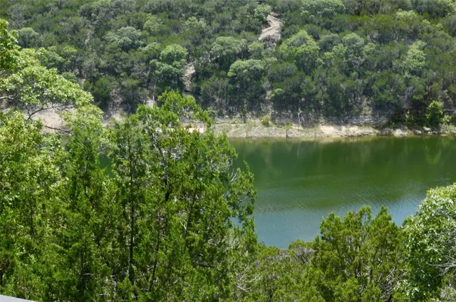 an aerial view of lake with green space