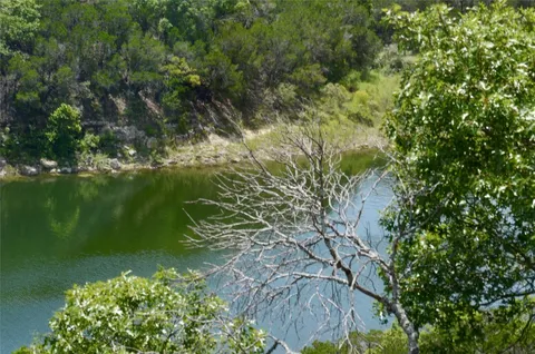 a view of a garden with a lake