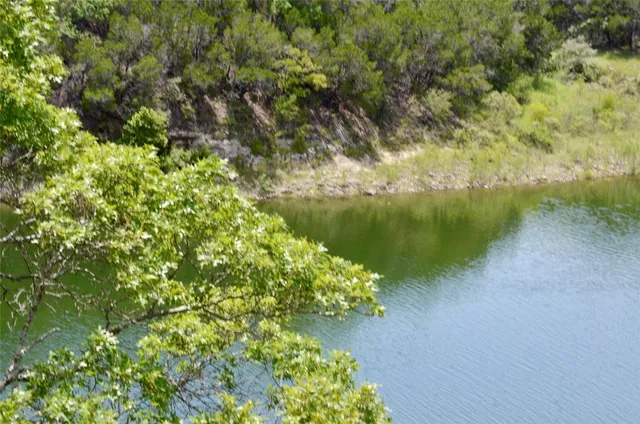 a view of a lake with a tree