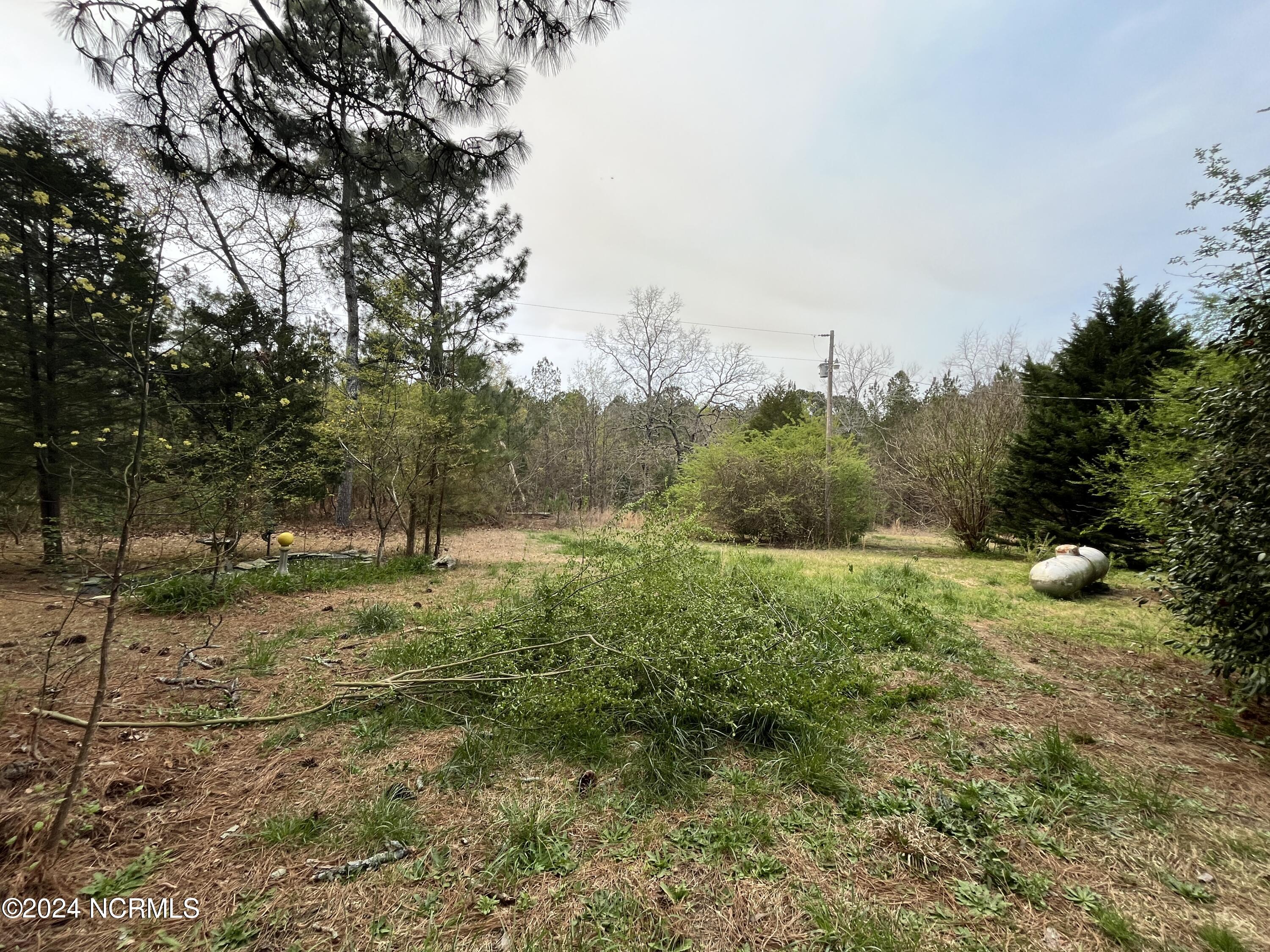 225 Morganton Road Jackson Springs, NC 27281 - Photo 11 of 37 IMG_8752