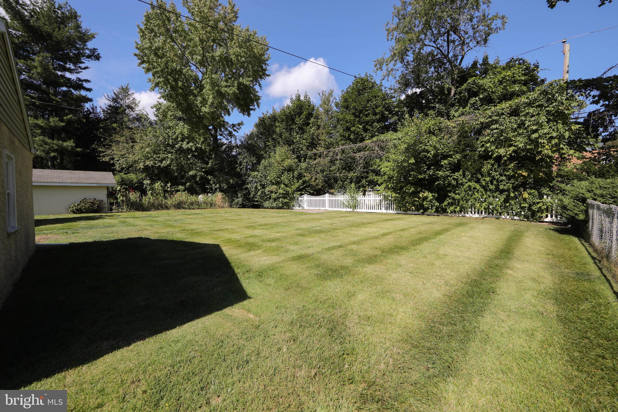 449 Hawarden Road Springfield, PA 19064 - Photo 49 of 60 Lush green yard with serene tree backdrop.