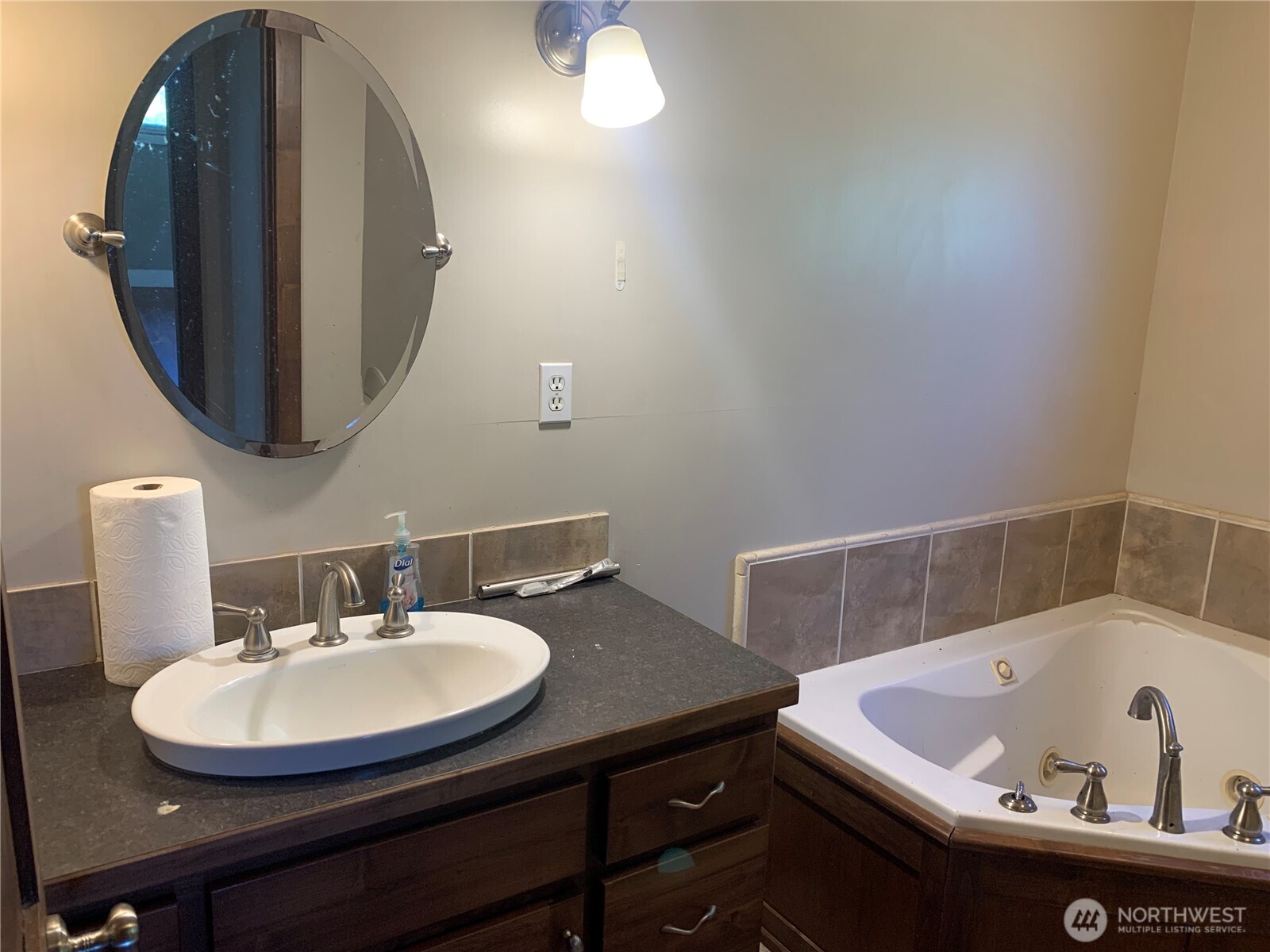3037 Massey Road Everson, WA 98247 - Photo 11 of 28 a bathroom with a sink and a mirror