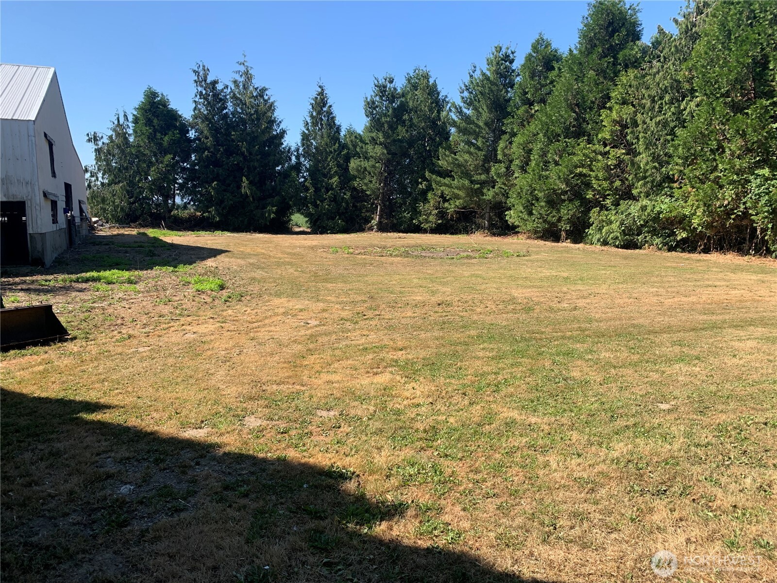 3037 Massey Road Everson, WA 98247 - Photo 27 of 28 a view of a yard with an trees