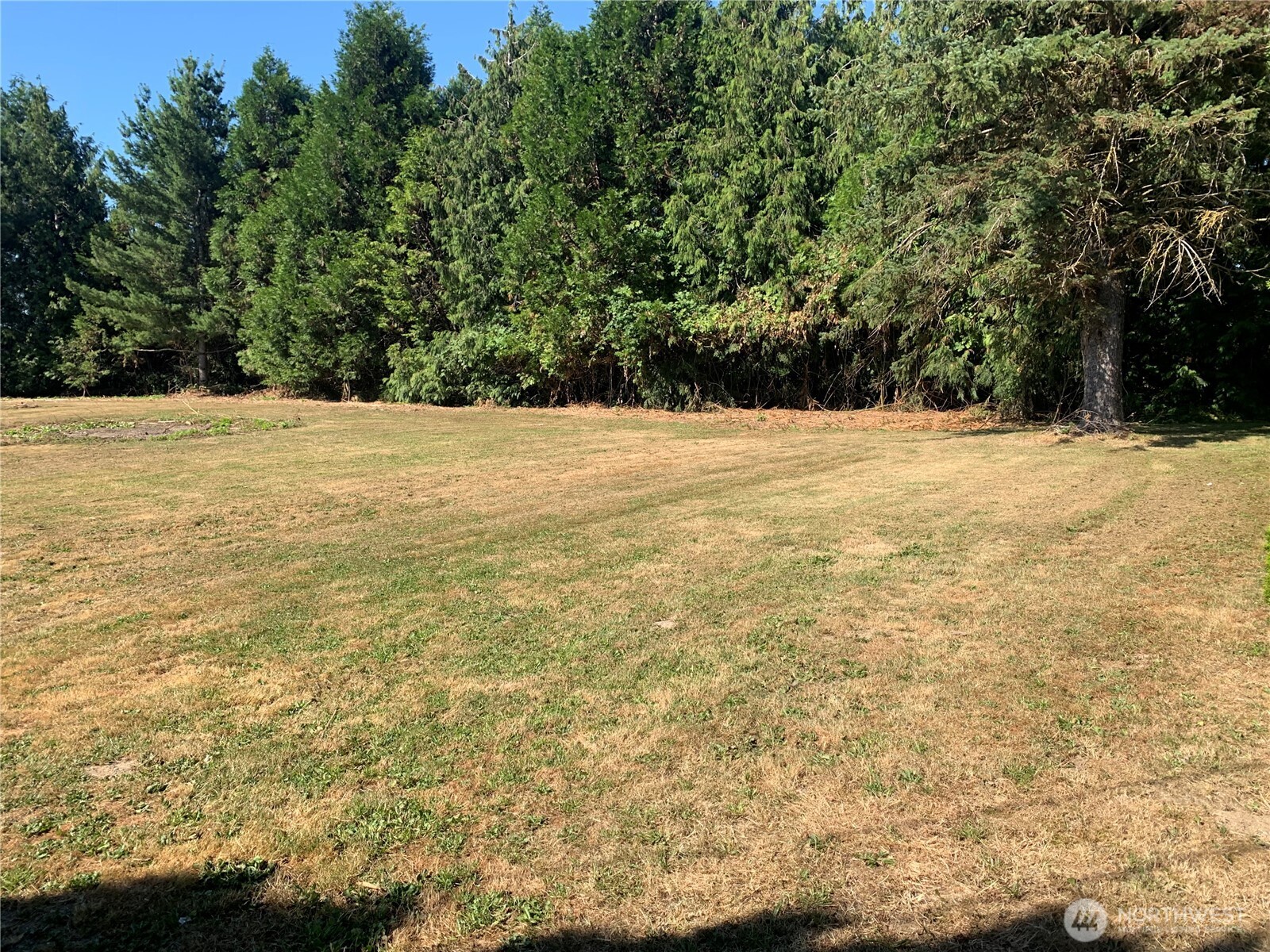 3037 Massey Road Everson, WA 98247 - Photo 28 of 28 a view of yard with large trees