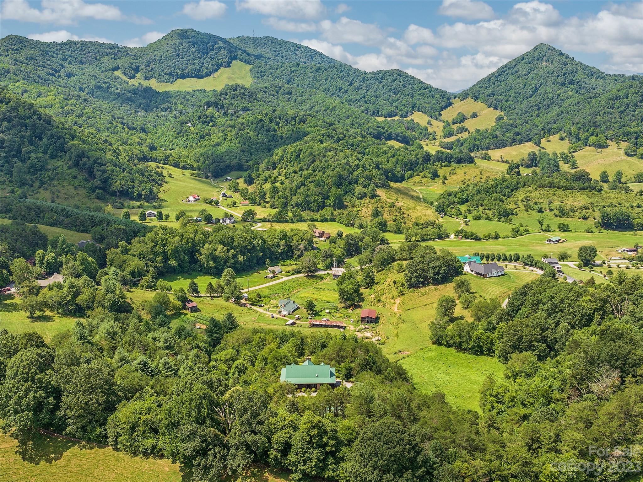 234 Arbor Ridge Clyde, NC 28721 - Photo 28 of 33 a view of a forest with a houses