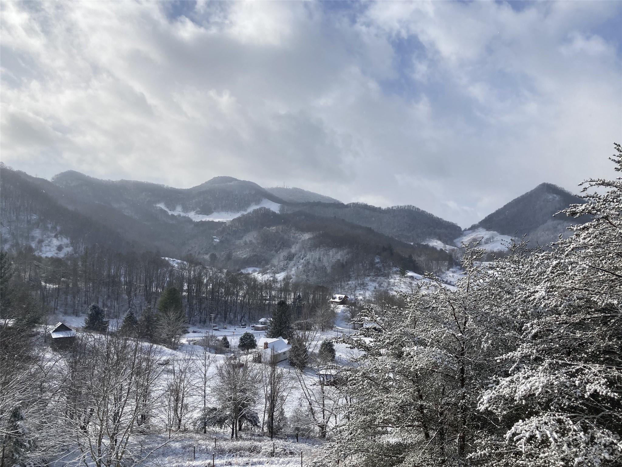 234 Arbor Ridge Clyde, NC 28721 - Photo 31 of 33