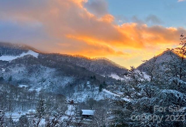 234 Arbor Ridge Clyde, NC 28721 - Photo 33 of 33
