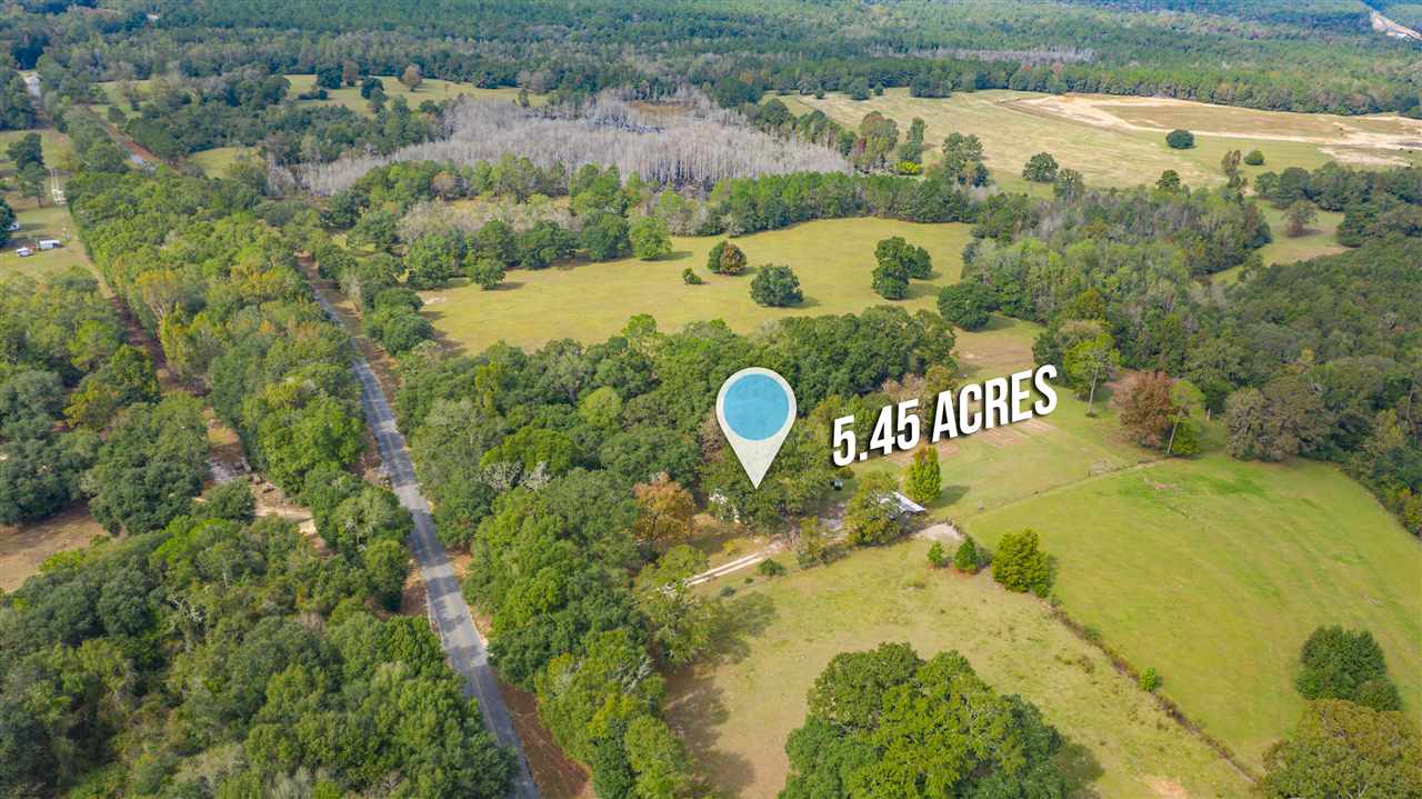 7394 Glen Chambers Road Florala, AL 36442 - Photo 31 of 32 Gallery Image 31