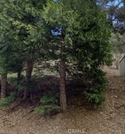 $9,000 | 0 South Dart Canyon Road, Crestline, CA 92325
